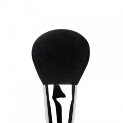 Powder Brush